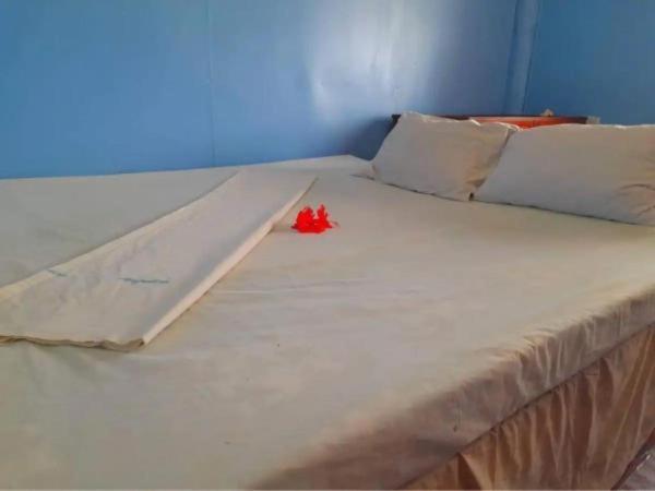 Mana Lagoon Backpackers 外观 照片